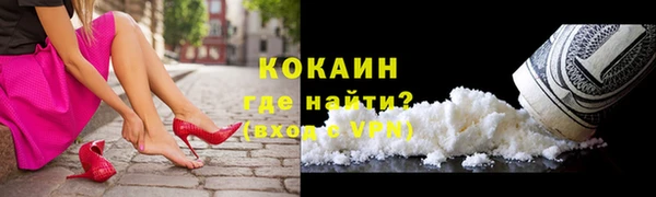 хмурый Лиски