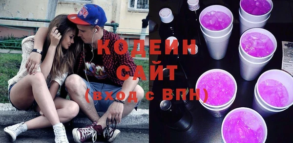 хмурый Лиски