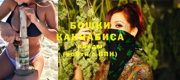 хмурый Лиски