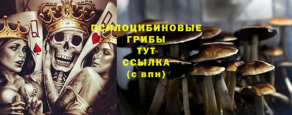 а пвп мука Липки