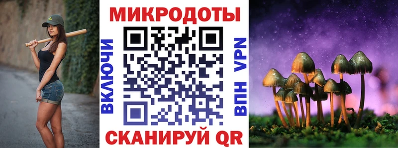 дарнет шоп  Орлов  Псилоцибиновые грибы Psilocybine cubensis 
